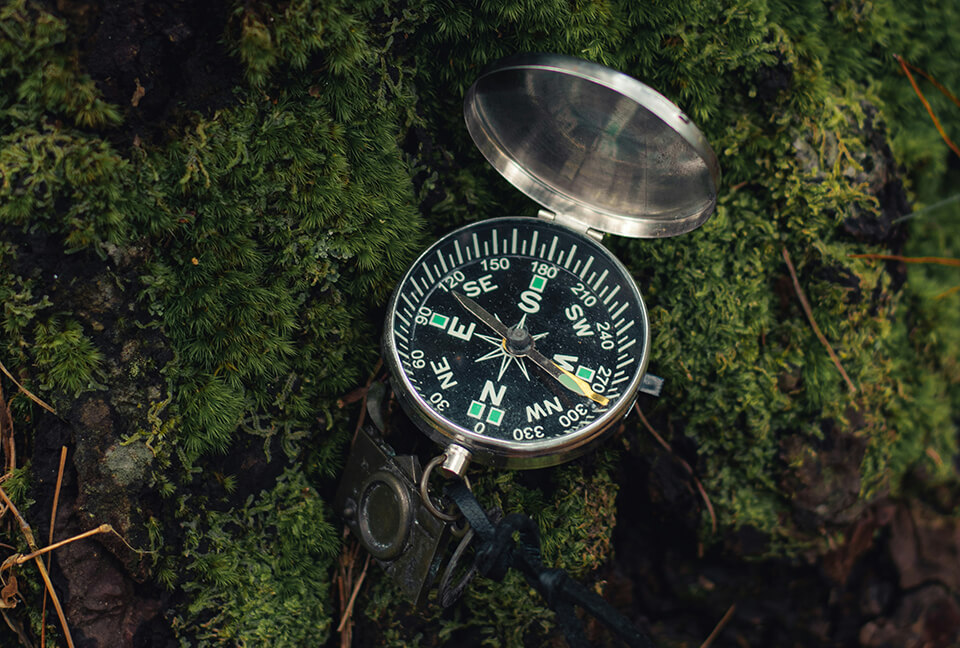 dhilip-antony-8RvJfwvVVWY-unsplash_s Boussole posée sur du lychen